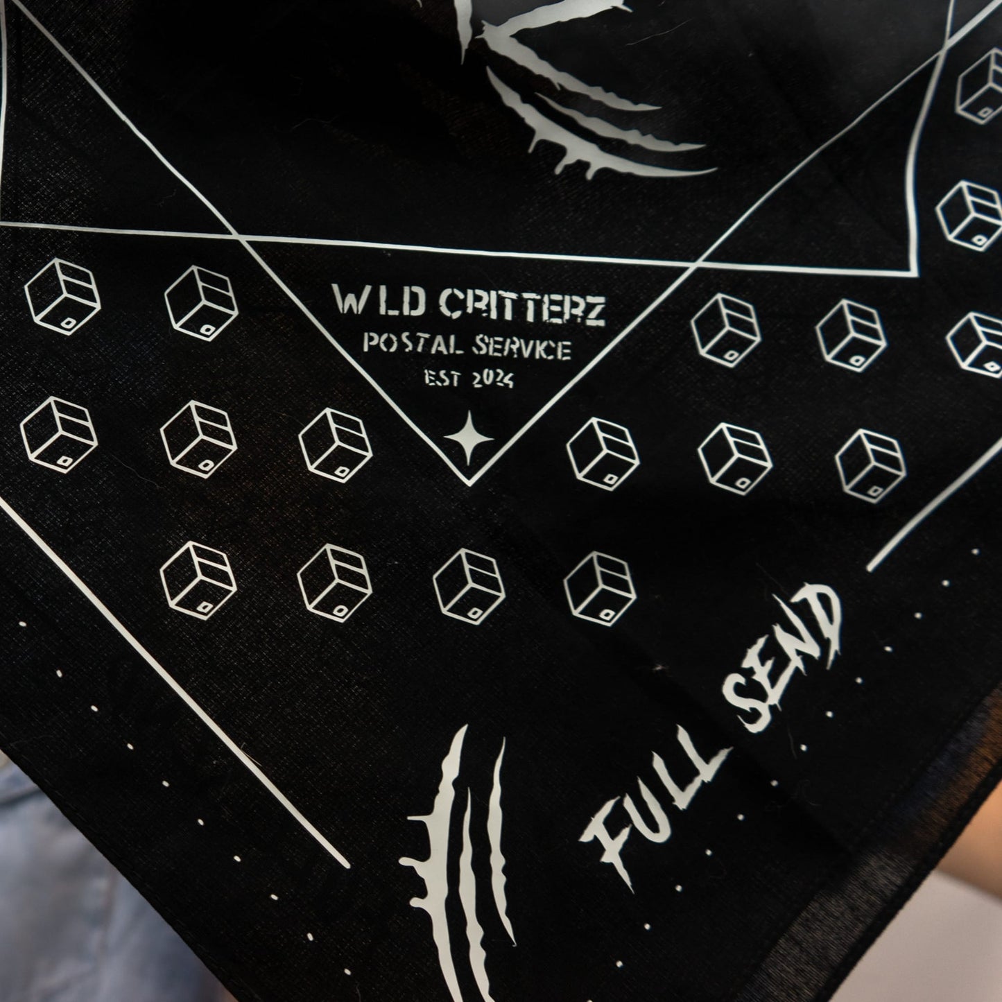 Full Send Bandana