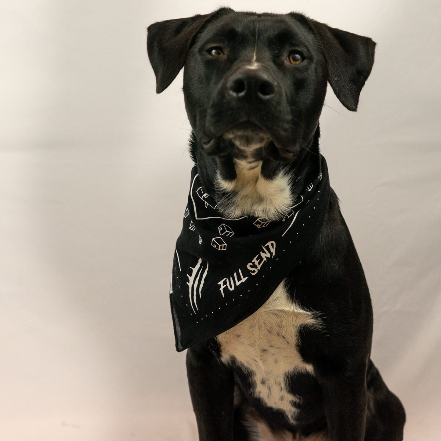 Full Send Bandana