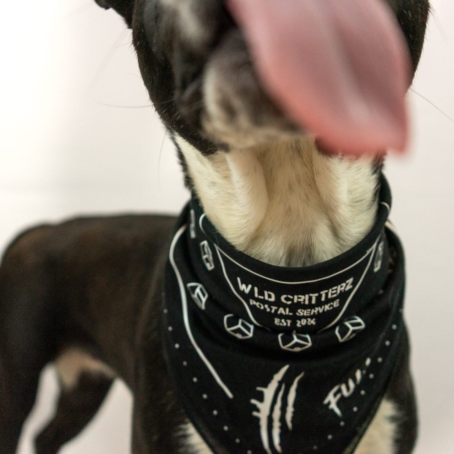 Full Send Bandana
