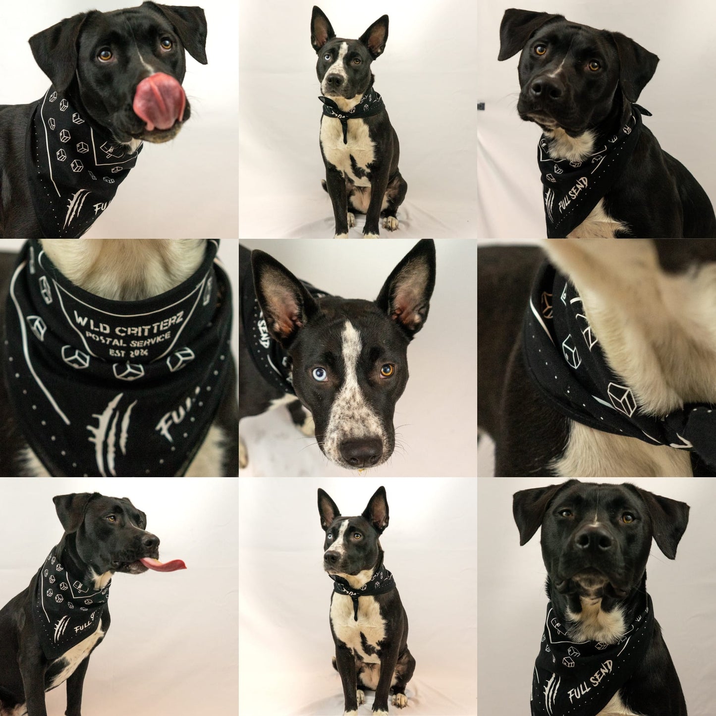 Full Send Bandana